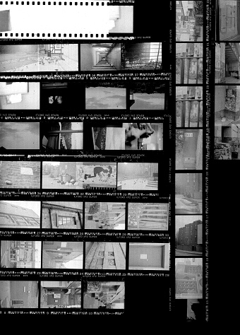 Forgotten Negatives