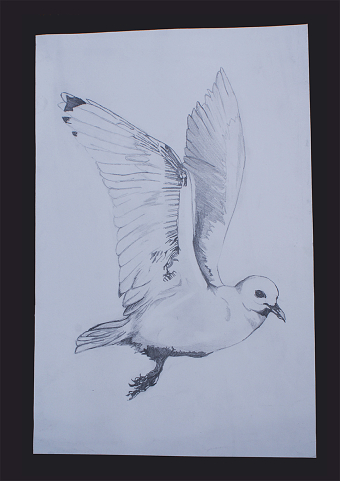 Art Work