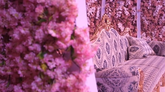 Royal Wedding
