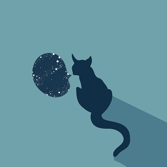 The Origins Of the Universe