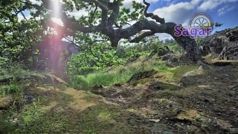 Simple Editing Art-2