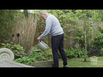 Hospice Voice