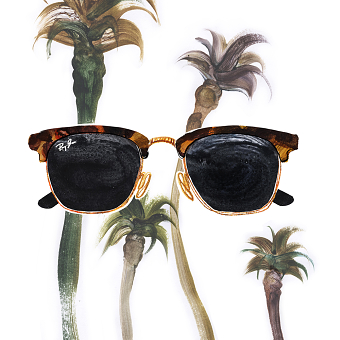 Illustrations of Ray Ban summer collection 2016
