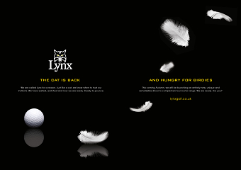 Website & Press Advertising