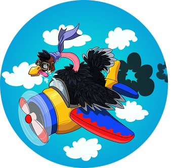 The Pilot