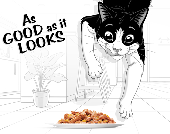 As Good As It Looks - Felix