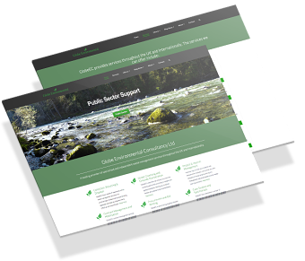 Globe Environmental Consultancy, Redesign