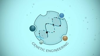 AKC Global - Explainer Video