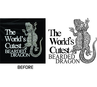 Click to view all : Redraws of low res artwork into vector format
