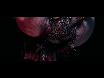 Libelula by Renee Mooi (Official Video)