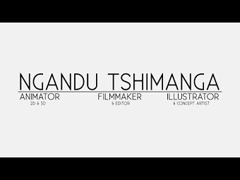 Animations - Motion Graphics Showreel 2017