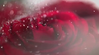 360FX Beauty & Fashion Reel 2016