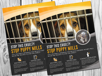 Stop Puppy Mills Poster design
