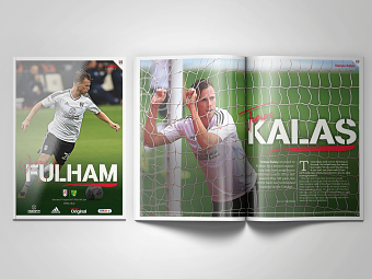 Fulham v Norwich City 2017-18