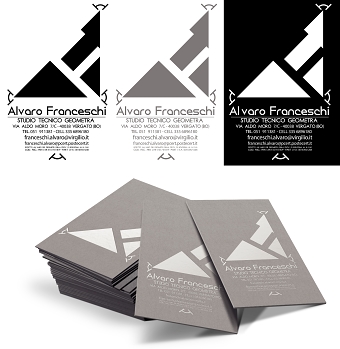 Fraceschi Surveyor Studio  Logo Proposal