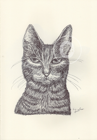 BALLPEN CATS