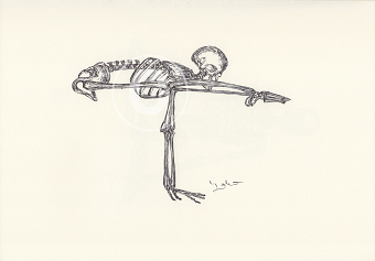 BALLPEN YOGA SKULLS