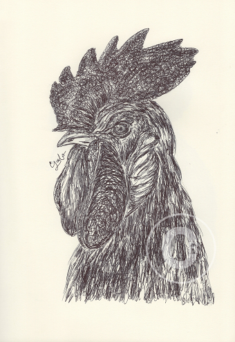 Ballpen Handsome Chickens