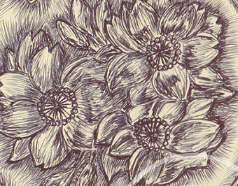 Ballpen Japanese Yen