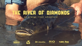 The River of Diamonds