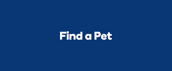 Find A Pet
