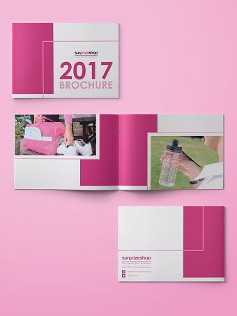Surprizeshop - 2017 Consumer Brochure
