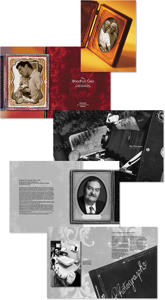 The Woodhull Gala Campaign