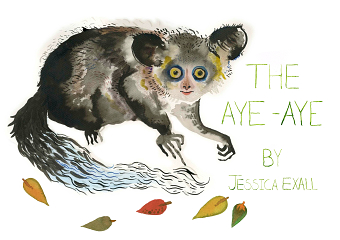 Aye Aye children's book