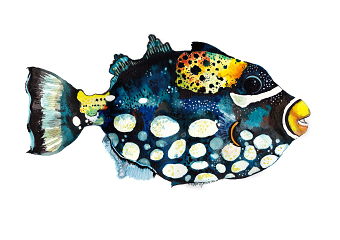 Illustration