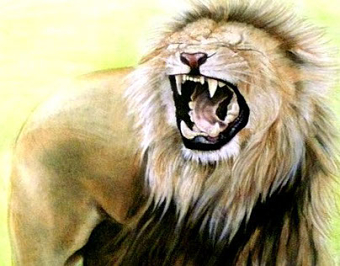 lion roar