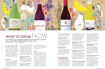 Series of illustrated drinks features