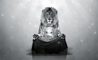Calm Lion