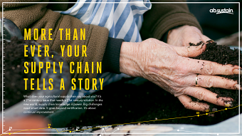Brand Renew: See the Whole Picture