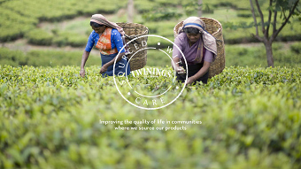 Sustainability programme: Sourced with Care