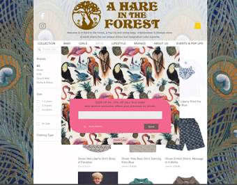 E-commerce website design.