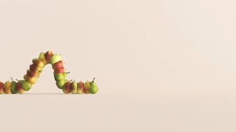 Worm Pear