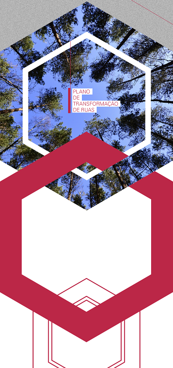 Festival PLANTAR - VISUAL IDENTITY