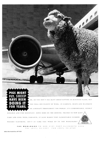 Sheep