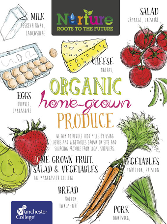 Organic food poster