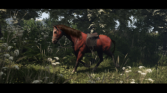 Horse