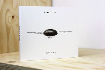Insectum