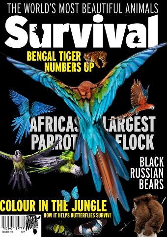 SURVIVAL