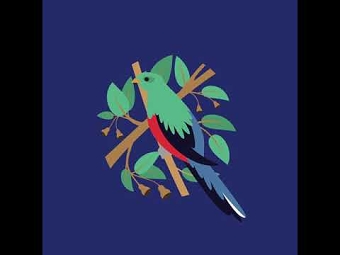 Birds of A–Z feather