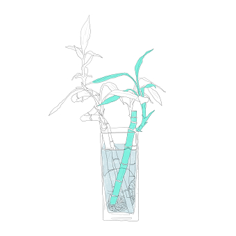 Illustrations