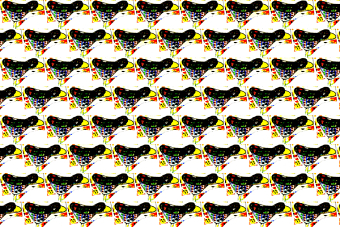 Printmaking  art Birds