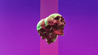 _XLTP