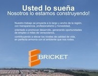 PROYECTOS BRICKET
