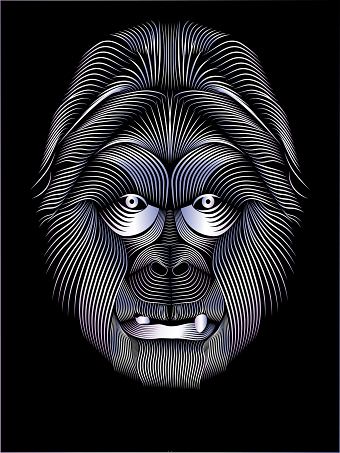 Ape Faces