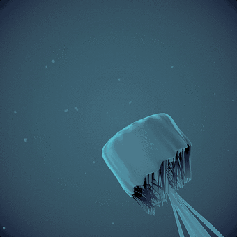 Jelly Fish