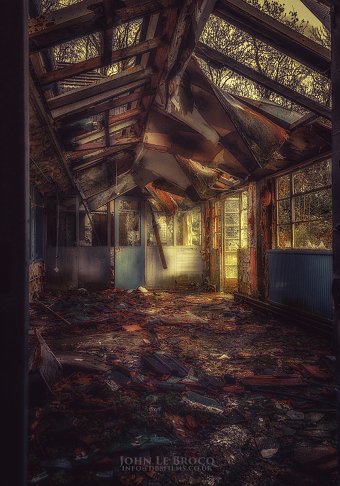 Dereliction, nature reclamation
